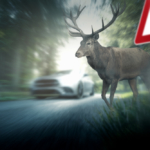 Zrážka so zverou. S plašičom zveri Siren7 jazdíte v noci bezpečne